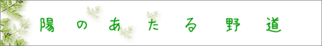 �z�̂�����쓹